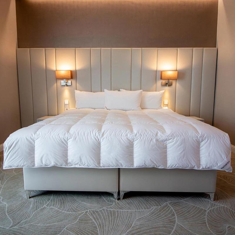 NATURTEX 헝가리안 구스다운 퀸 중량 750G / 다운80%